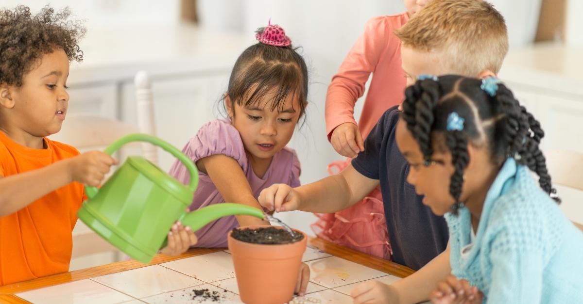 Preschoolers planting seeds 
